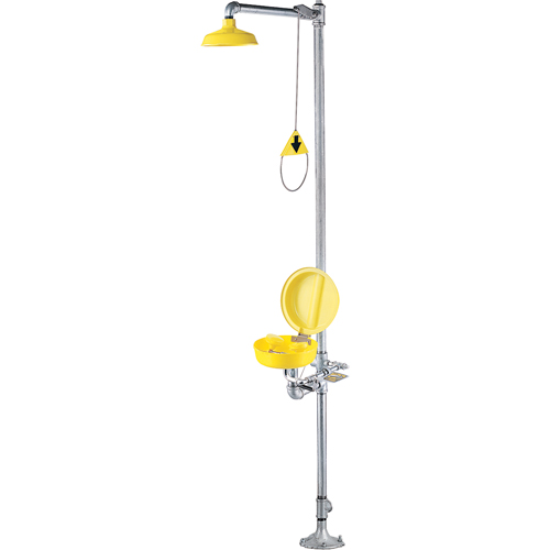Combination Shower Eye/Face Wash With Cover Chandler Sales