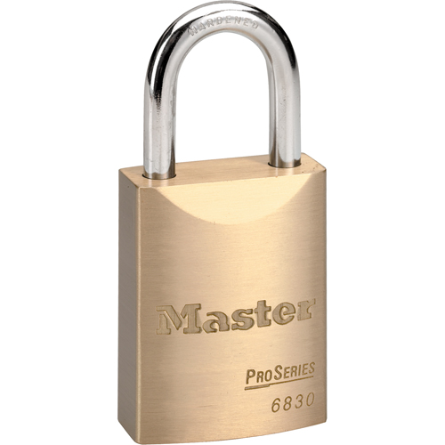 ProSeries&reg; Padlock, Silver, Keyed Different, Brass Coating, 1-9/16" Width Chandler Sales