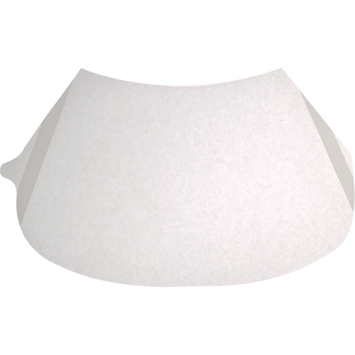 Protecteurs de lentille transparent d&eacute;collable Chandler Sales