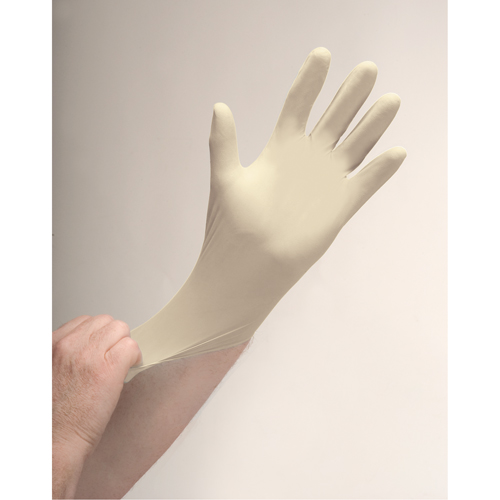 Premium Sensitive Skin Examination Gloves, Large, Latex, 4-mil, Powder-Free, Natural Chandler Sales