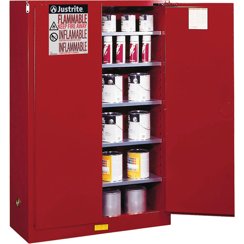 Armoire de s&eacute;curit&eacute; pour la peinture et les encres combustibles EX Sure-Grip, 60 gal., 5 tablettes Chandler Sales