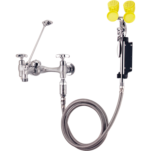 Faucet & Eyewash Station, Sink Mount Installation Chandler Sales