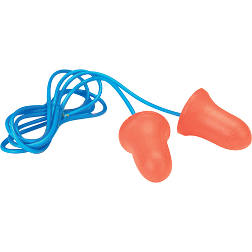 Bouchons d'oreilles en mousse Maximum de Howard Leight, Vrac - Boîte, Avec cordon Chandler Sales