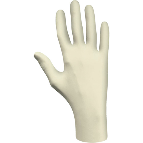 Disposable Gloves, Large, Latex, 3-mil, Powder-Free, Natural, Class 2 Chandler Sales