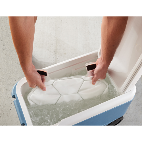 6215 Phase Change Packs for Cooling Vests Chandler Sales