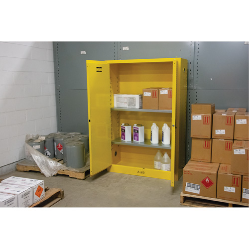 Flammable Storage Cabinet, 45 gal., 2 Door, 43" W x 65" H x 18" D Chandler Sales