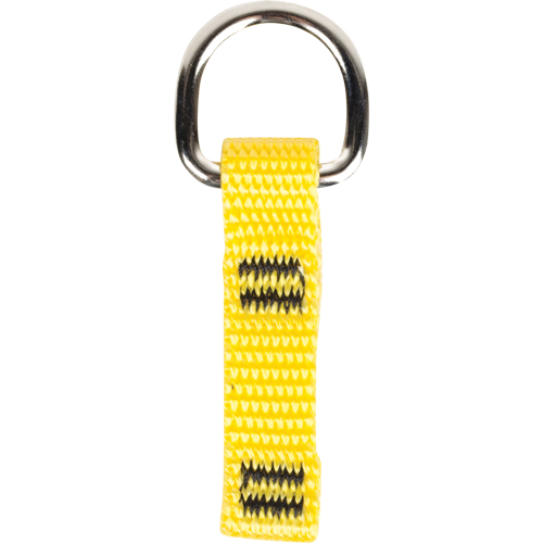 Anneau en D de fixation pour outil Chandler Sales