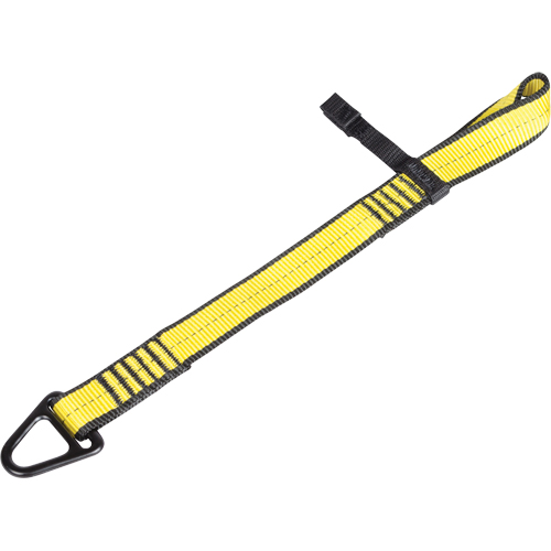 Sangle de fixation pour outil Chandler Sales