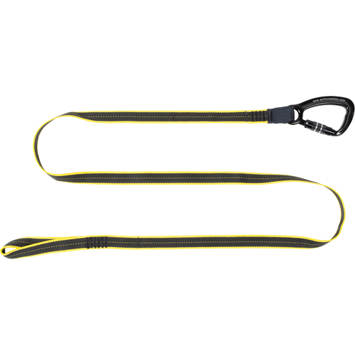 Longe de service lourd pour outil, Longueur fixe, Mousqueton/boucle Chandler Sales