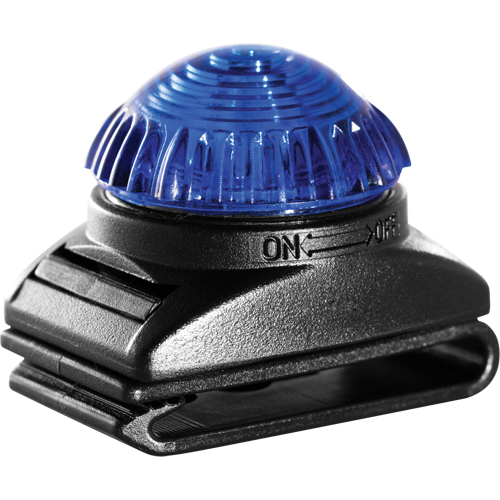 Guardian Warning Light, Continuous/Flashing, Blue Chandler Sales