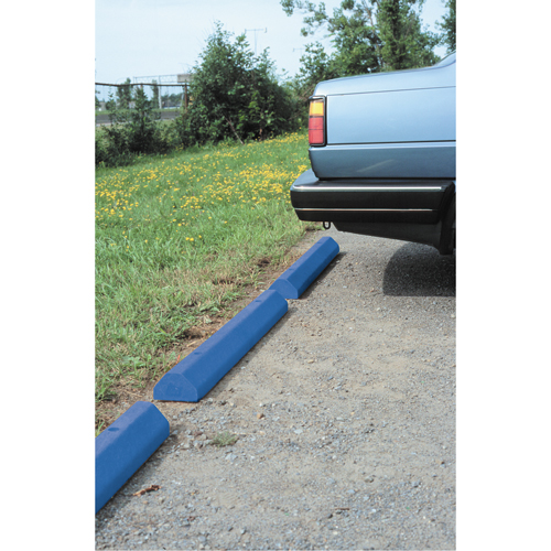 Butoirs pour voitures, Plastique, 6' l, Bleu Chandler Sales
