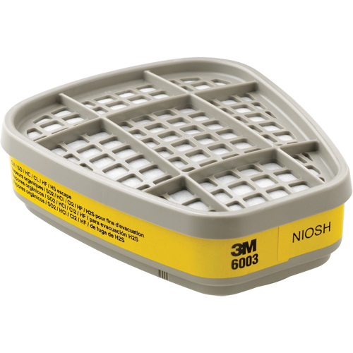 Cartouches pour respirateur s&eacute;rie 6000, Cartouche gaz/vapeur, Vapeurs organiques/Gaz acides Chandler Sales