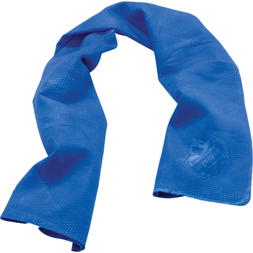 Chill-Its&reg; 6602 Cooling Towels, Blue Chandler Sales