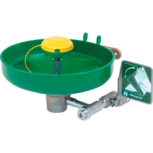 Axion&reg; Eye/Face Wash Station, Wall-Mount Installation, Plastic Bowl Chandler Sales