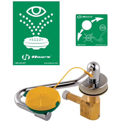 Poste de douche oculaire/faciale, Installation Montage sur &eacute;vier Chandler Sales