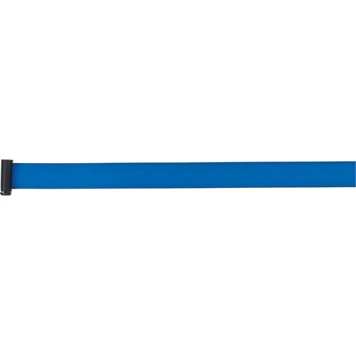 Tape Cassettes for Build-Your-Own Crowd Control Barriers, 7', Blue Tape Chandler Sales