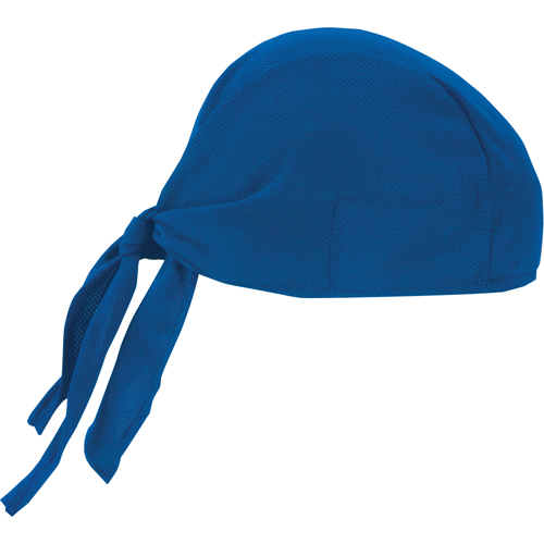 Coiffes de refroidissement Chill-Its 6615, Bleu Chandler Sales