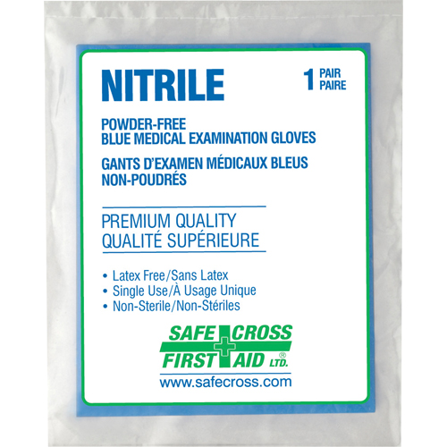 Gants d'examen m&eacute;dical, Grand, Nitrile, 5 mils, Sans poudre, Transparent, Classe 2 Chandler Sales