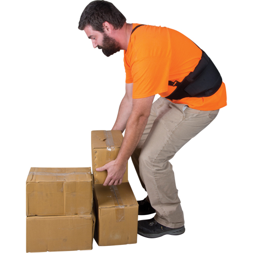 Back Support, Elastic, Small Chandler Sales