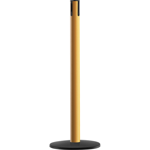 Syst&egrave;me Advance TensaBarrier - Poteau r&eacute;cepteur, Hauteur de 36", Jaune Chandler Sales