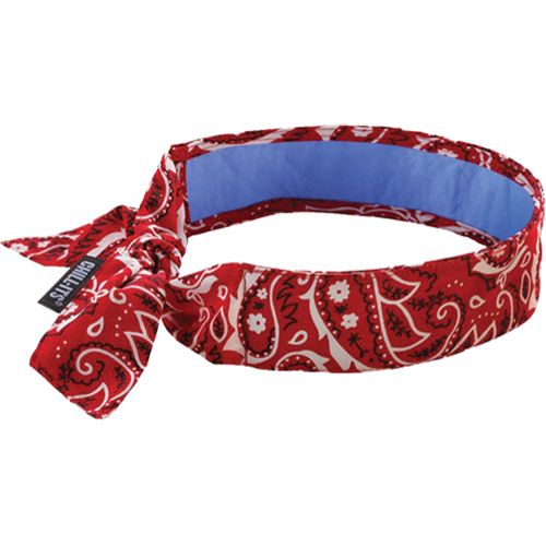 Chill-Its&reg; 6700CT Cooling Bandanas, Red Chandler Sales