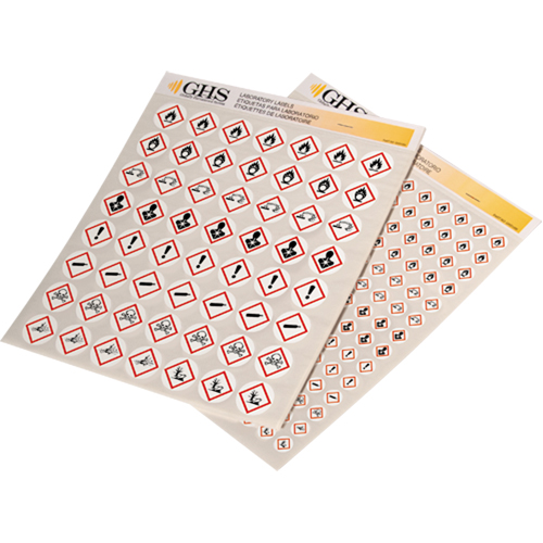 GHS Hazard Pictogram Label Variety Packs, Vinyl, Sheet, 1/2" L x 1/2" W Chandler Sales
