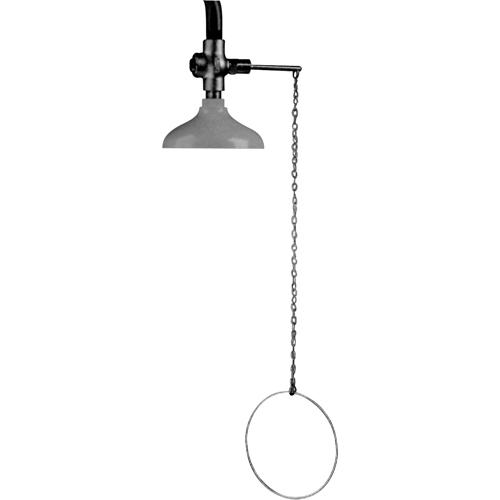 Douche d'urgence suspendue Lifesaver, Montage au plafond Chandler Sales