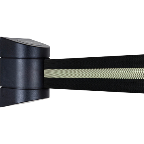 TensaBarrier&reg; Wall Mounted Units, Plastic, Screw Mount, 15', Black Tape Chandler Sales