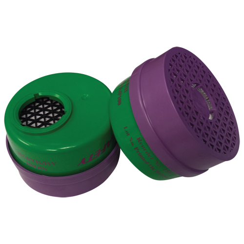 Cartouche pour respirateur, Combinaison cartouche et filtre contre les particules pour gaz/vapeurs, Ammoniac/M&eacute;thylamine/Filtre P100 Chandler Sales
