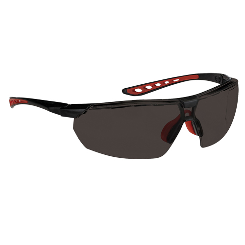 Dynamic Falcon Series Safety Glasses, Smoke Lens, Anti-Fog, ANSI Z87+/Meets/Exceeds CSA Z94.3 Chandler Sales