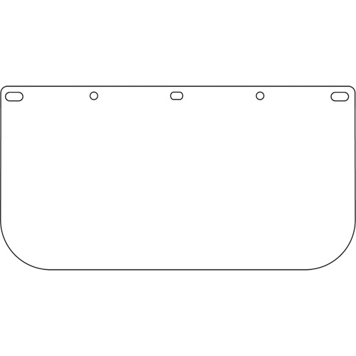 Visi&egrave;re pour &eacute;cran facial Dynamic, PETG, Teinte Transparent Chandler Sales