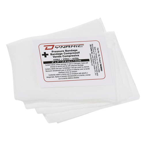 Dynamic Compress Bandage, 3" L x 3" W Chandler Sales