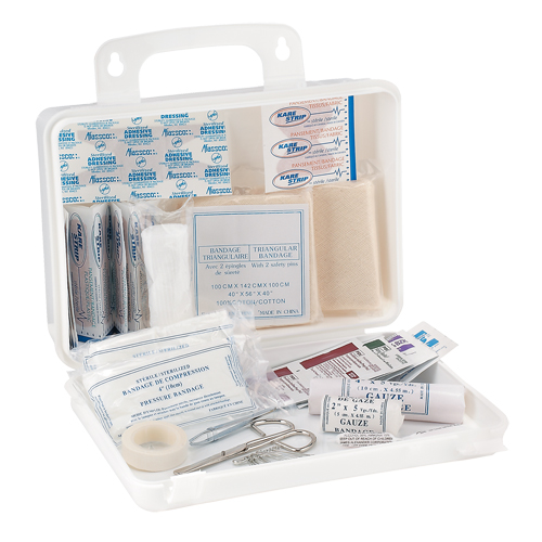 Trousse de premiers soins pour camion Dynamic, Dispositif m&eacute;dical Classe 1, Boîte en plastique Chandler Sales