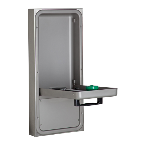 Eye/Face Wash Station, Wall-Mount Installation Chandler Sales