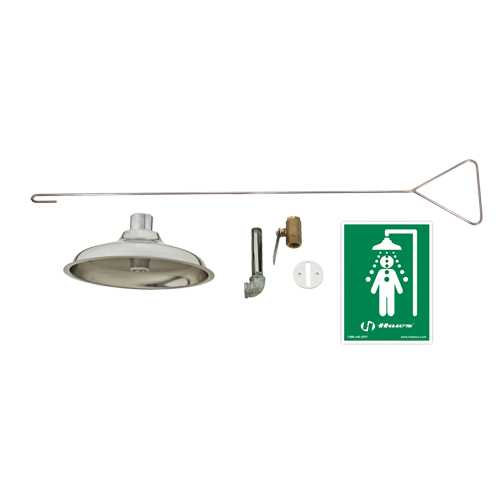 Concealed Drench Shower, Ceiling-Mount Chandler Sales