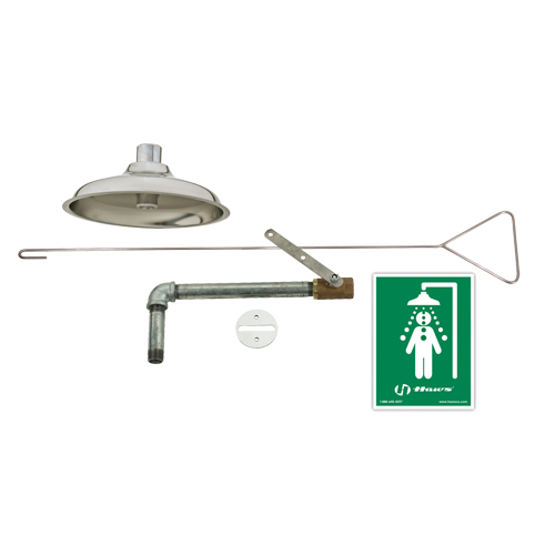 Drench Shower, Ceiling-Mount Chandler Sales