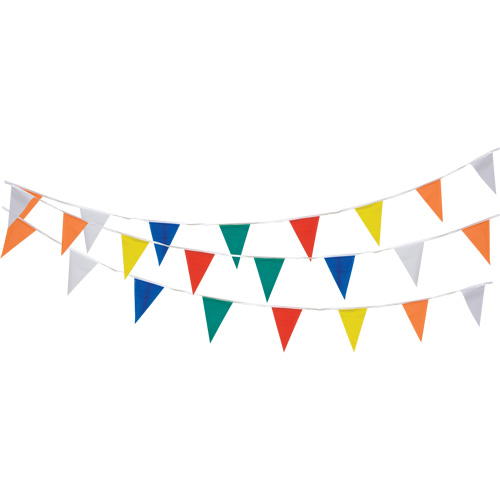 Pennant String, 60' L, Multicolour Chandler Sales
