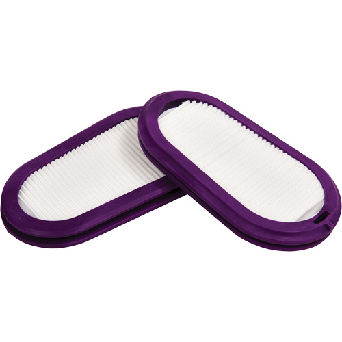 Filtres de remplacement, Filtre contre les particules, Filtre P100 Chandler Sales