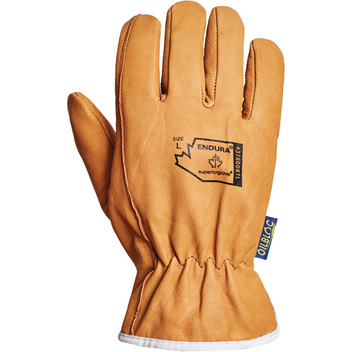 Endura&reg; Driver's Glove, Small, Grain Goatskin Palm, Thinsulate Inner Lining Chandler Sales