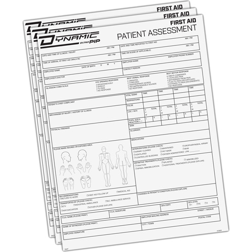 Diagramme d'&eacute;valuation du patient Dynamic Chandler Sales