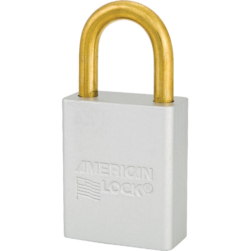 Cadenas de s&eacute;curit&eacute; American Lock, Transparent, Cl&eacute;s identiques, Aluminium, Largeur de 1-1/2" Chandler Sales