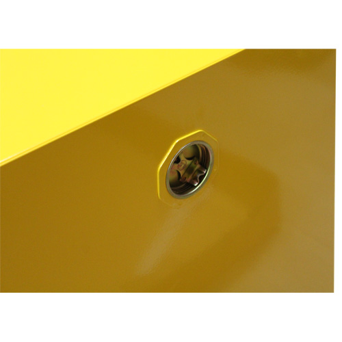 Armoire pour produits inflammables, 4 gal., 1 Porte(s), 17" La x 22" h x 18" p Chandler Sales