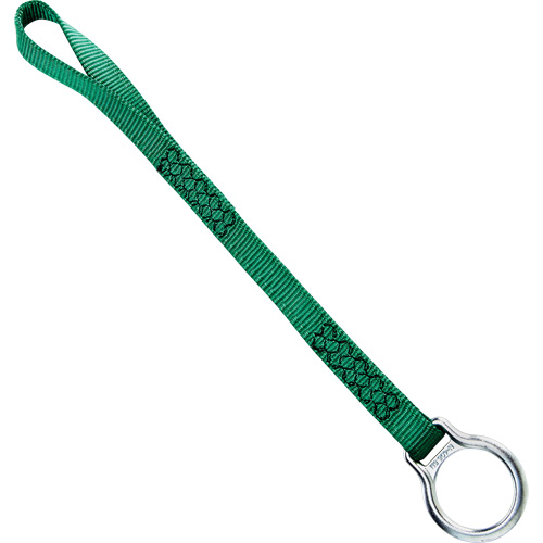 Extension avec anneau en D simple, Anneau en D, Usage Temporaire Chandler Sales