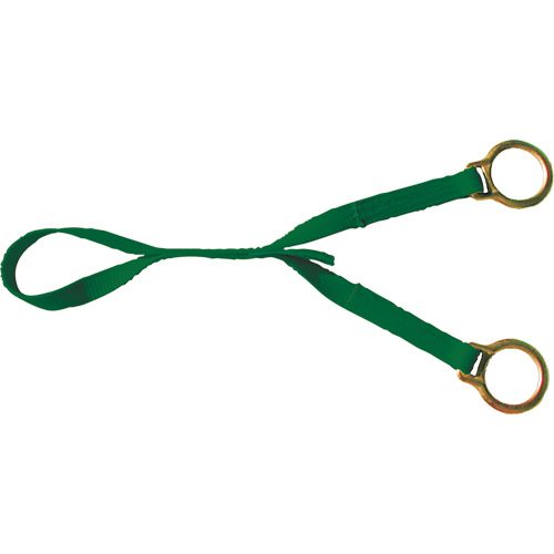 Double D Ring Extension, D-Ring, Temporary Use Chandler Sales