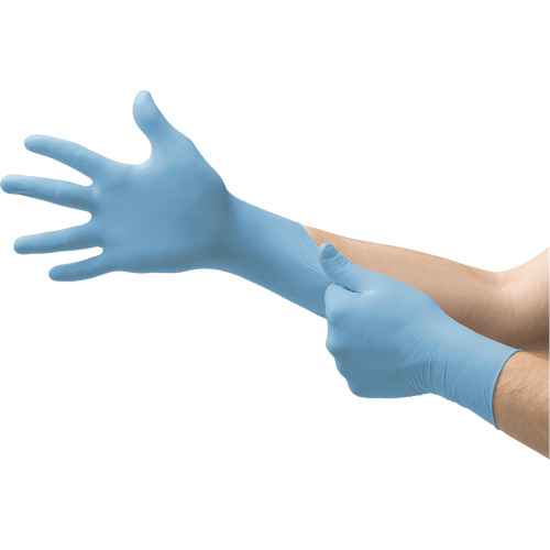 N20 Disposable Gloves, Small, Nitrile, 4.7-mil, Powder-Free, Blue Chandler Sales