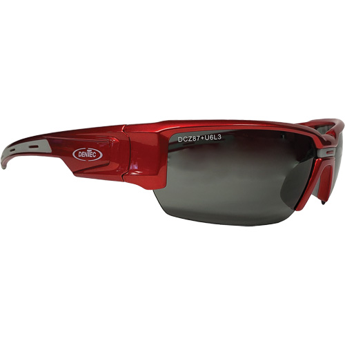 Lunettes de s&eacute;curit&eacute; Hartley, Lentille Gris, Polaris&eacute;, R&eacute;pond ou surpasse la norme CSA Z94.3 Chandler Sales