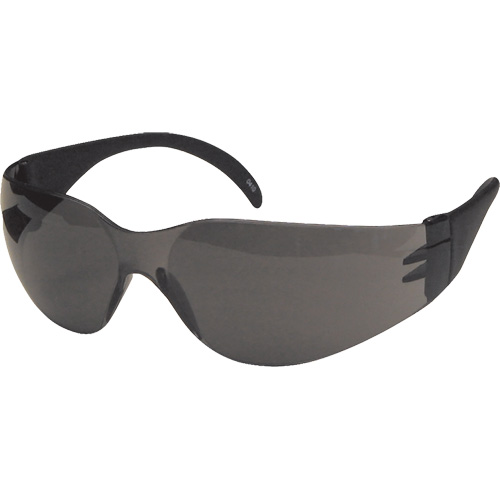 CeeTec Safety Glasses, Grey Lens, Anti-Fog/Anti-Scratch, Meets/Exceeds CSA Z94.3 Chandler Sales
