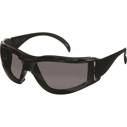 Lunettes de s&eacute;curit&eacute; CeeTec DX, Lentille Gris, Antibu&eacute;e/Anti-&eacute;gratignures, R&eacute;pond ou surpasse la norme CSA Z94.3 Chandler Sales