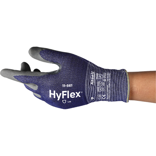 Gants r&eacute;sistants aux coupures HyFlex 11-561, Taille 5, Calibre 15, Rev&ecirc;tement Nitrile, Enveloppe en Intercept, EN 388 niveau C Chandler Sales