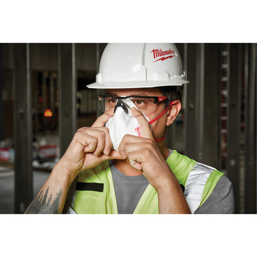 Respirateur jetable, N95, Certifi&eacute; NIOSH, Taille unique Chandler Sales